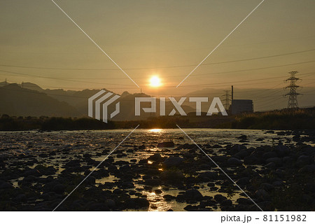 草 芝生 芝 81151982