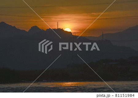 草 芝生 芝 81151984