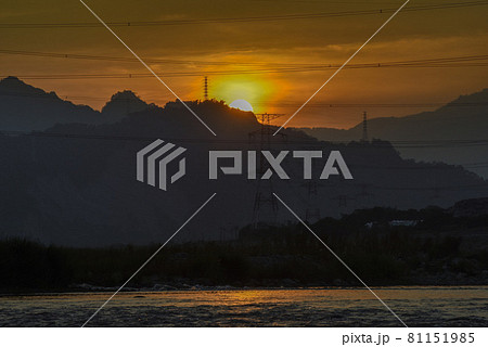 草 芝生 芝 81151985