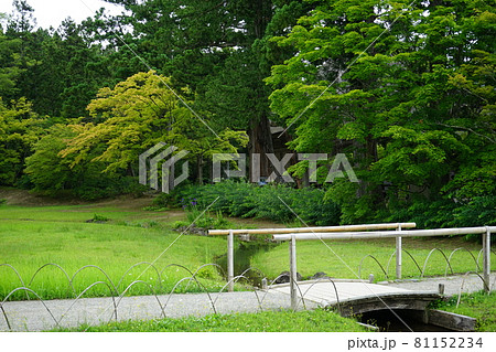 世界遺産毛越寺　遣水（やりみず） 81152234