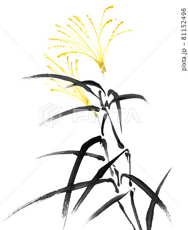 水墨画技法で描かれたススキのイラスト素材 [81152496] - PIXTA