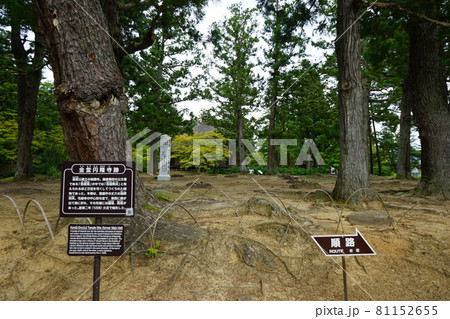 世界遺産毛越寺の浄土庭園 81152655