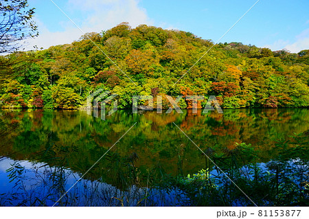 十二湖の紅葉と鏡のような湖 81153877