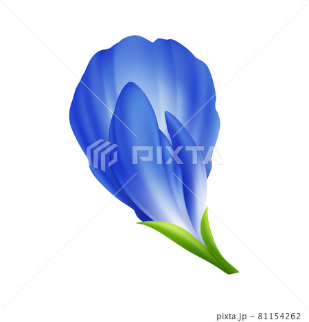 Matcha Flower Realistic Composition 81154262