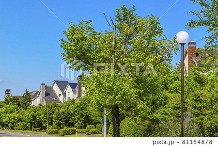 閑静な住宅地 81154878