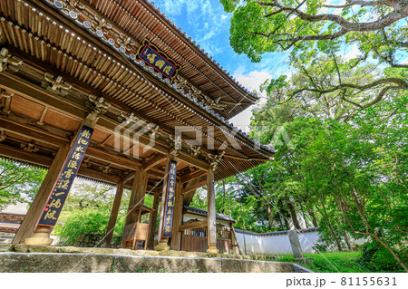夏の功山寺　山門　山口県下関市 81155631