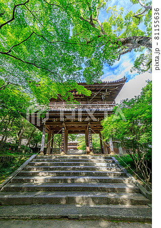 夏の功山寺　山門　山口県下関市 81155636