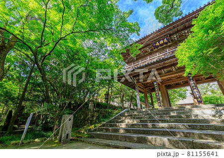 夏の功山寺　山門　山口県下関市 81155641