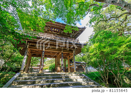 夏の功山寺　山門　山口県下関市 81155645
