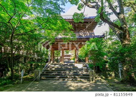夏の功山寺　山門　山口県下関市 81155649