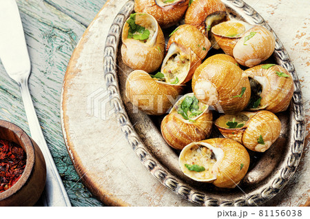 French snail dish 81156038