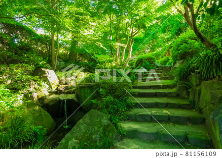 丈山苑、緑美しい和風庭園〈愛知県安城市〉 丈山苑、緑美しい和風庭園〈愛知県安城市〉 81156109