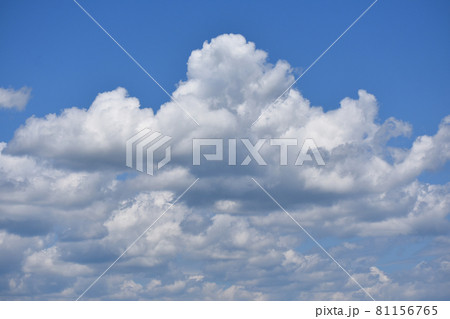 雲 81156765