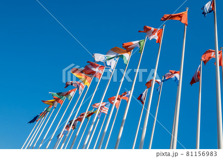 Different flags fluttering on flagpoles 81156983