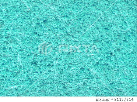 Sponge. Abstract texture Sponge. Abstract texture 81157214