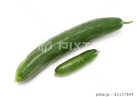 Fresh japanese cucumber isolated on white background. Healthy food Fresh japanese cucumber isolated on white background. Healthy food 81157844