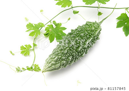 Bitter melon or bitter gourd with vine isolated on white background. Healthy food 81157845