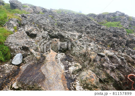 山 森 スポット 81157899