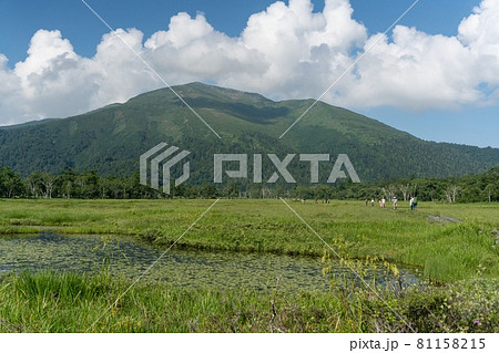 初夏の尾瀬の風景 初夏の尾瀬の風景 81158215