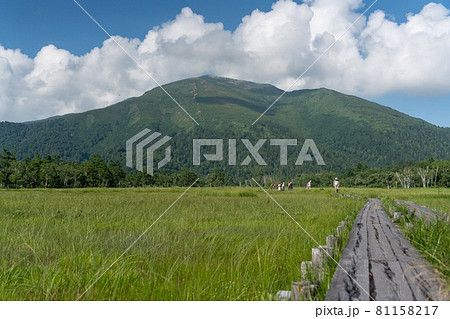 初夏の尾瀬の風景 81158217