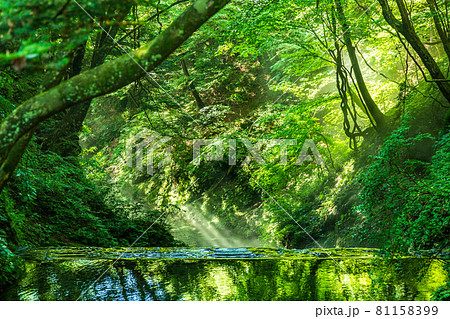 光織りなす尚仁沢湧水 81158399