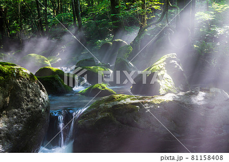 光織りなす尚仁沢湧水 81158408