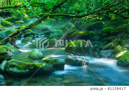 光織りなす尚仁沢湧水 81158417