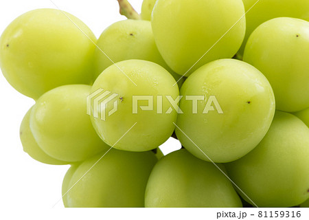 マスカット ぶどう 葡萄 81159316