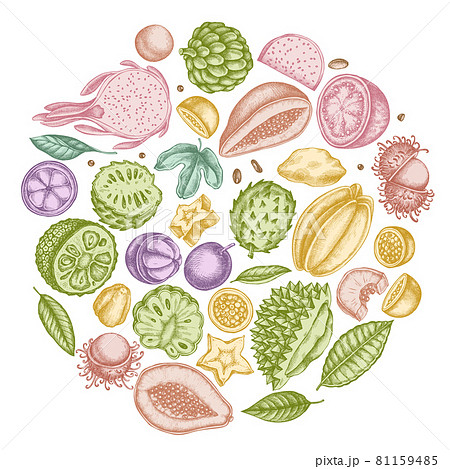 Round design with pastel papaya, guava, passion fruit, starfruit, durian, rambutan, pitaya 81159485