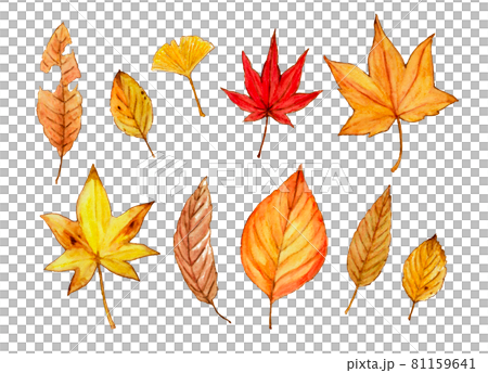 水彩色鉛筆で描いた秋を感じる落ち葉のセットイラストのイラスト素材