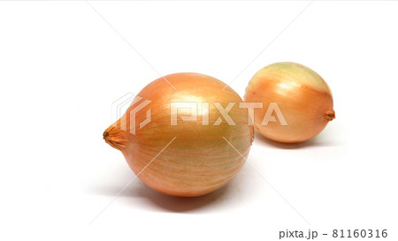 onion on a white background 81160316