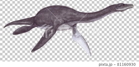 Plesiosauria, a member of the small Plesiosauria that lived in the early Jurassic period, means "similar to reptiles" Plesiosauria, a member of the small Plesiosauria that lived in the early Jurassic period, means "similar to reptiles" 81160930