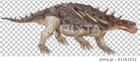 Zhongyuansaurus, the only thyreophora found in the Early Cretaceous strata of China 81161032