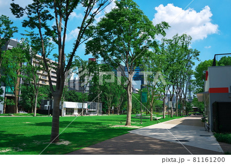 名古屋市久屋大通公園　夏の学びの森ゾーン 81161200