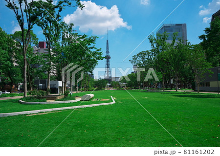 名古屋市久屋大通公園 夏の学びの森ゾーン 名古屋市久屋大通公園 夏の学びの森ゾーン 81161202