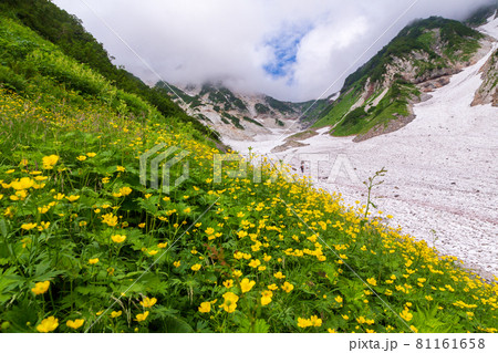 夏の白馬大雪渓トレッキング 81161658