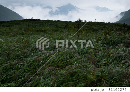 雨後の八ノ沢カール 雨後の八ノ沢カール 81162275