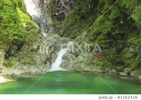 尾白川渓谷 千ヶ淵 尾白川渓谷 千ヶ淵 81162416