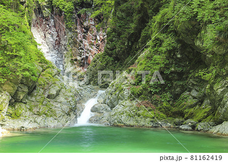 尾白川渓谷　千ヶ淵 81162419