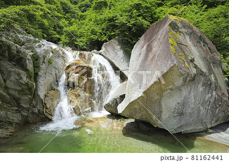 尾白川渓谷　三ノ滝 81162441