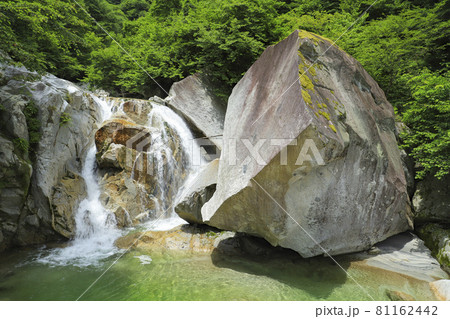 尾白川渓谷　三ノ滝 81162442