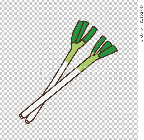 ネギのイラスト ねぎ 長ネギのイラスト素材 ネギのイラスト ねぎ 長ネギのイラスト素材