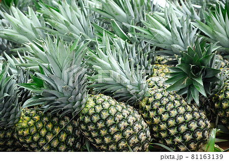 MALACCA, MALAYSIA -OCTOBER 01, 2016: Pile pineapple fruit which has been harvested and display for sale. MALACCA, MALAYSIA -OCTOBER 01, 2016: Pile pineapple fruit which has been harvested and display for sale. 81163139