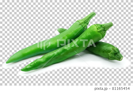 Green chili pepper illustration real set 81165454