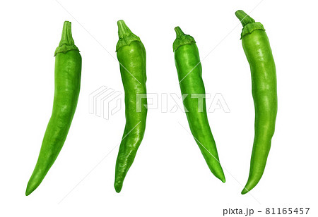 青唐辛子 唐辛子 イラスト リアルのイラスト素材