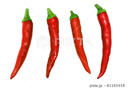 赤唐辛子 鷹の爪 イラスト リアルのイラスト素材