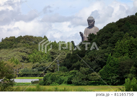 牛久大仏 81165750