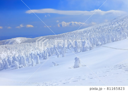 【山形県】晴天下の蔵王樹氷群 【山形県】晴天下の蔵王樹氷群 81165823