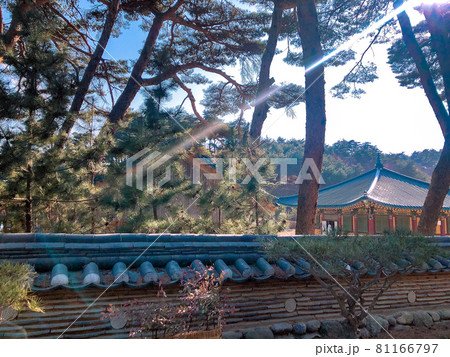 洛山寺 松 石垣 81166797