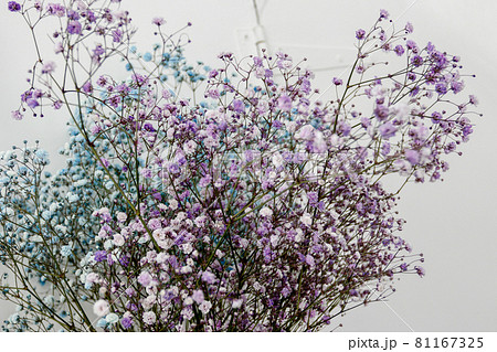 Delicate small flowers white and purple 81167325